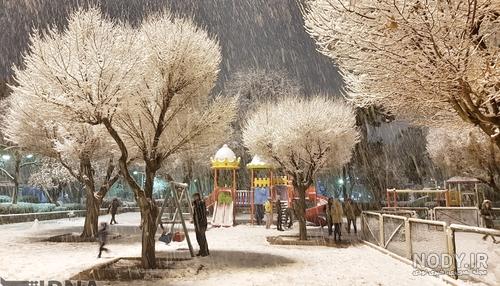 عکس از برف تهران