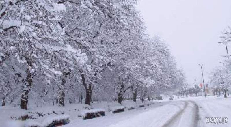 عکس برف یخبندان