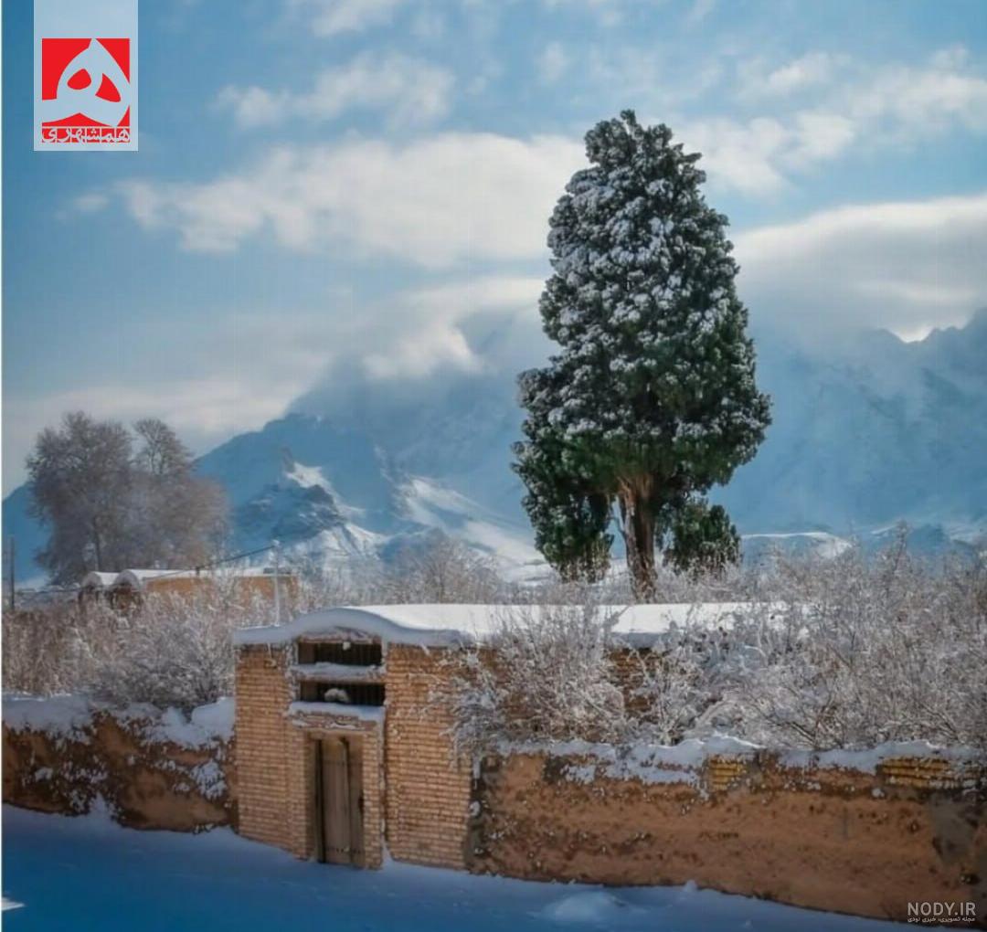 عکس برف در یزد