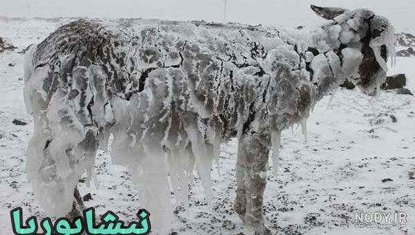 عکس دکل‌های نفتی یخ زده در سیبری | جهان نيوز