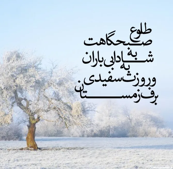 عکس های زیبا برفی عکس های زیبا برفی