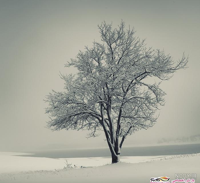 عکس منظره برفی عکس منظره برفی