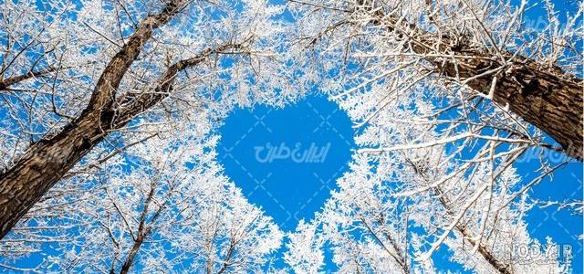 عکس منظره برفی با کیفیت بالا عکس منظره برفی با کیفیت بالا