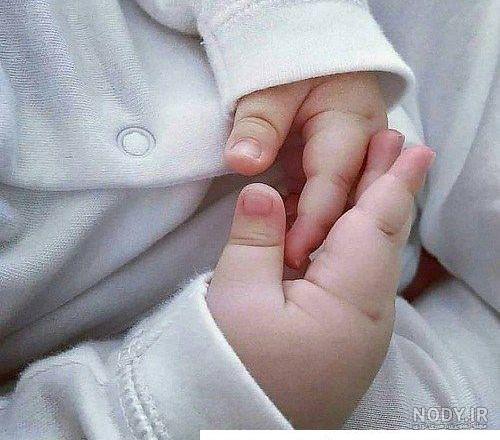 عکس نی نی تو راهی - عکس نودی عکس نی نی تو راهی - عکس نودی