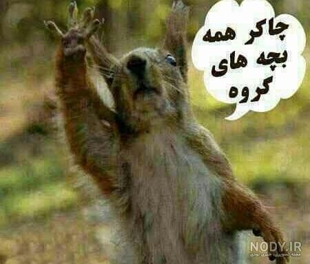 عکس پروفایل خنده دار و جدید + عکس پروفایل خنده دار با متن عکس پروفایل خنده دار و جدید + عکس پروفایل خنده دار با متن