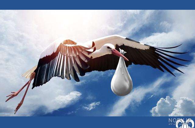 نقاشی لک لک در آب نقاشی لک لک در آب