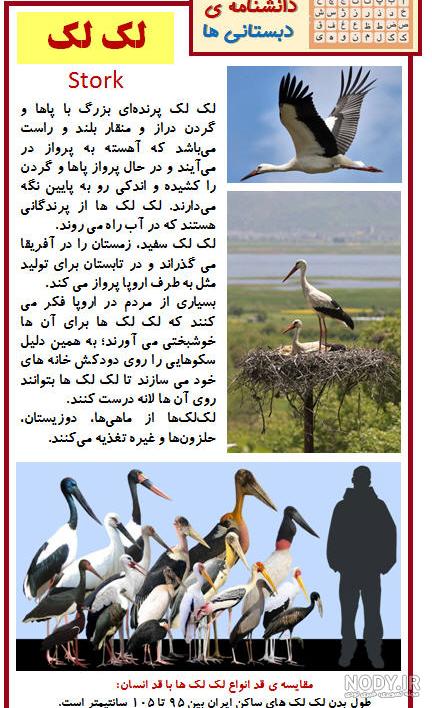 نقاشی لک لک برای کلاس اولی