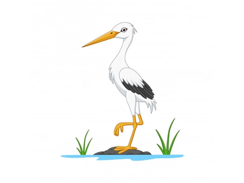 نقاشی لک لک سخت نقاشی لک لک سخت