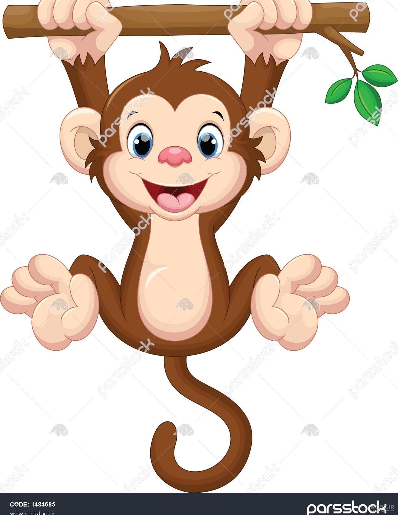 عکس از صورت میمون