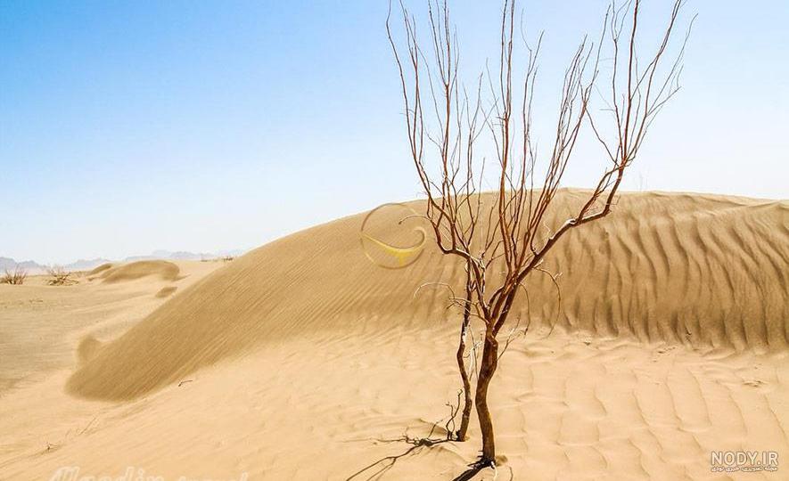 عکس از کویر مصر ایران عکس از کویر مصر ایران