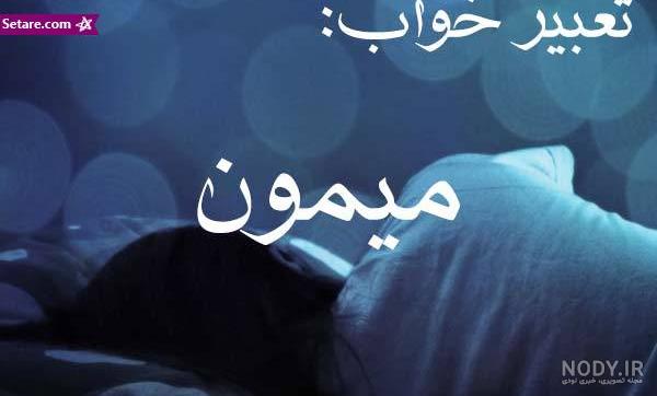 عکس میمون تو خواب عکس میمون تو خواب
