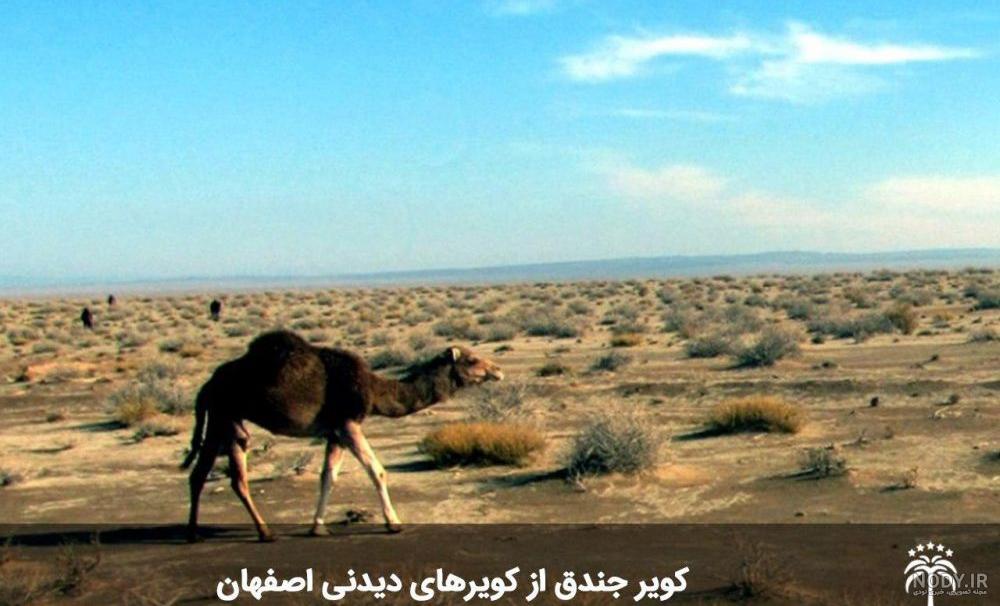 مجتمع تفریحی آبشار جندق خور و بیابانک: همه آنچه قبل از رفتن باید بدانید |  لست‌سکند