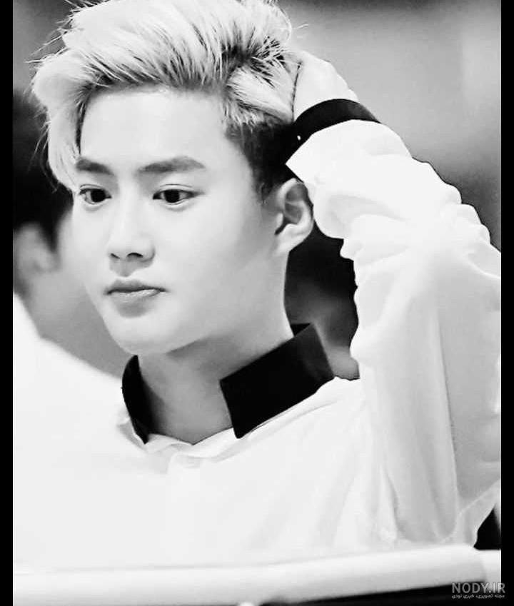 بیوگرافی اعضای گروه اکسو (EXO) با عکس و خصوصیات