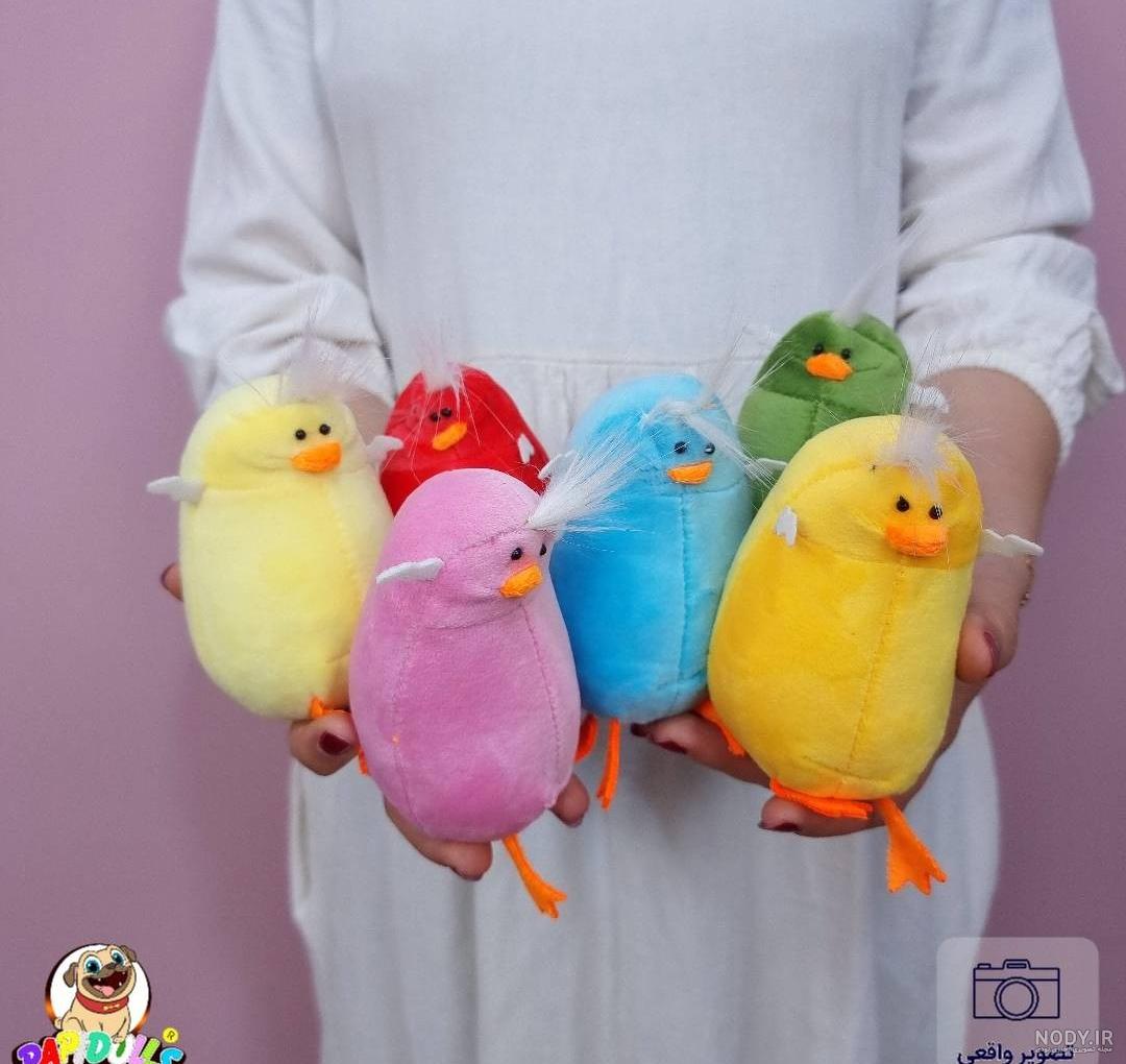 عکس خانه جوجه رنگی