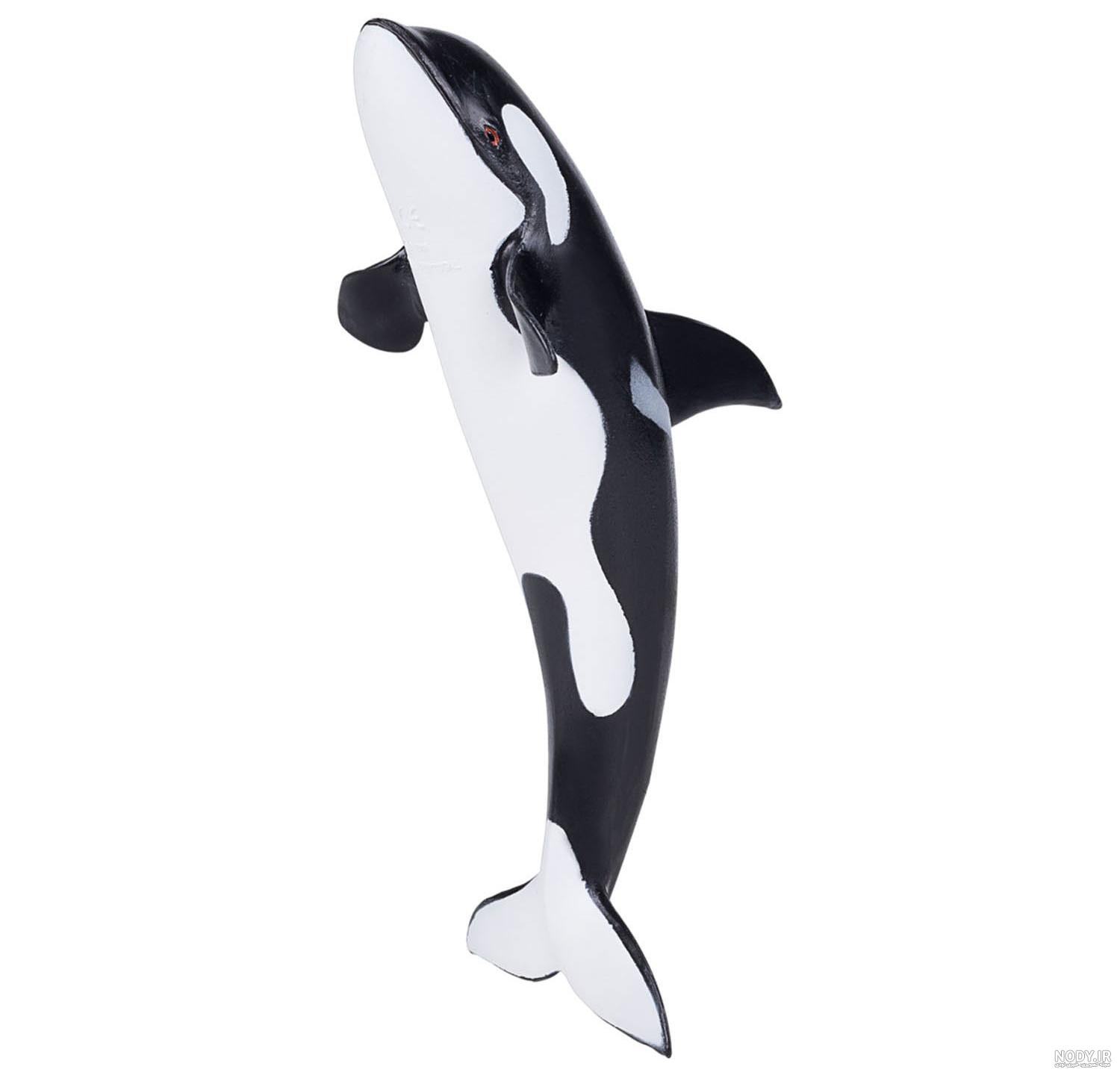 قیمت و خرید فیگور نهنگ قاتل یا اورکا برند موجو - Orca Deluxe figure |یوداتویز yodatoyz.ir قیمت و خرید فیگور نهنگ قاتل یا اورکا برند موجو - Orca Deluxe figure |یوداتویز yodatoyz.ir