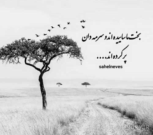 🤍🥀 . یک روز می آیی که من دیگر دچارت نیستم . شعر از #افشین_یداللهی خوانش : @feryal.khaksar 🤍🥀 . یک روز می آیی که من دیگر دچارت نیستم . شعر از #افشین_یداللهی خوانش : @feryal.khaksar