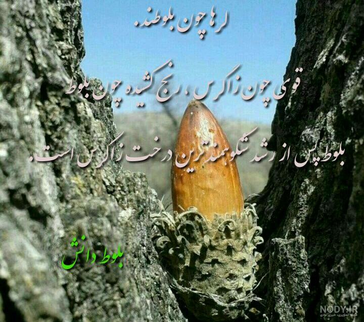 دانلود آهنگ جدید علیرضا بیرانوند بنام دختر من دنیای من دانلود آهنگ جدید علیرضا بیرانوند بنام دختر من دنیای من