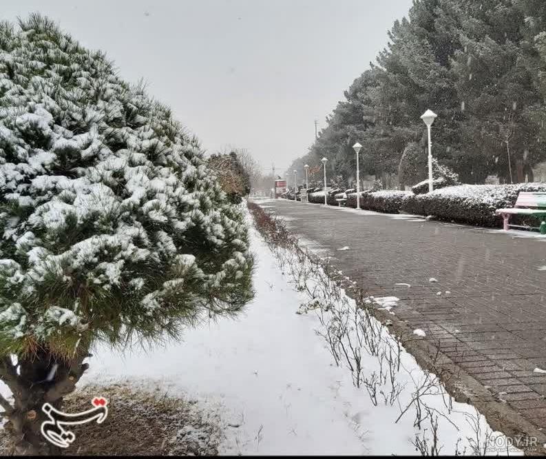 عکس زیبای برف