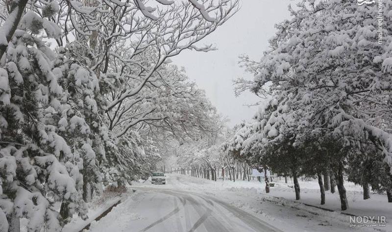 عکس زیبای برف