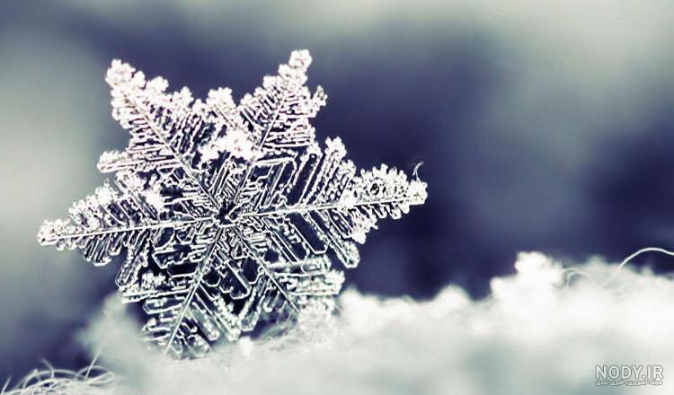 عکس زیبای برفی برای پروفایل