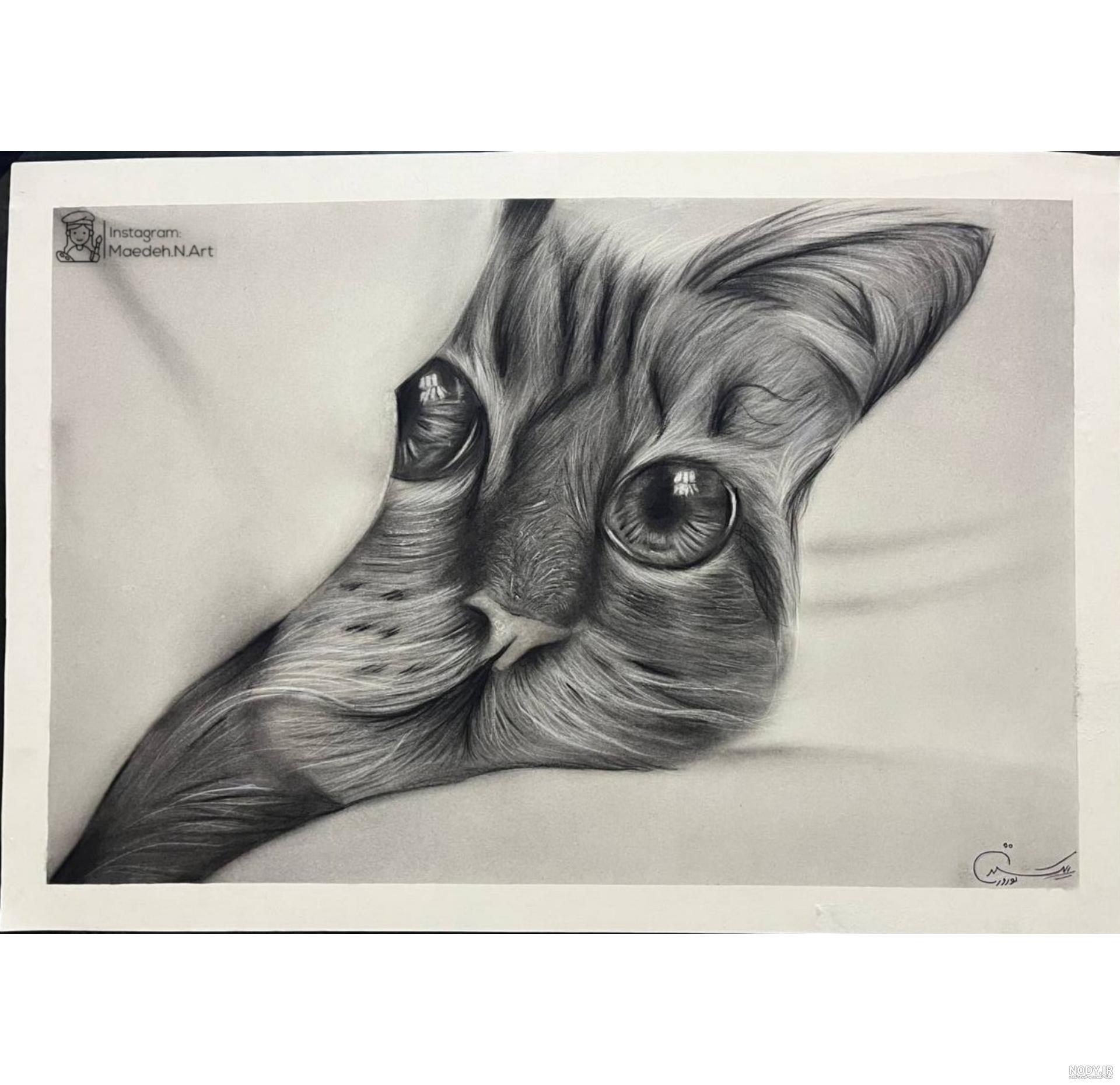 گربه سیاه نقاشیش