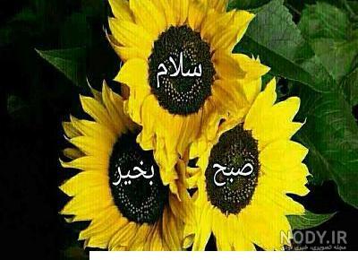 صبح بخیر زیبا و عاشقانه به زبان عربی با ترجمه فارسی
