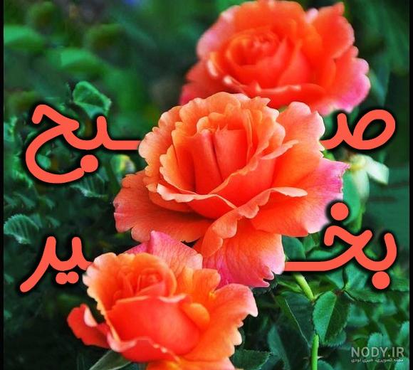 عکس نوشته ی سلام و صبح بخیر گفتن (آلبوم تصاویر) - تــــــــوپ تـــــــــاپ