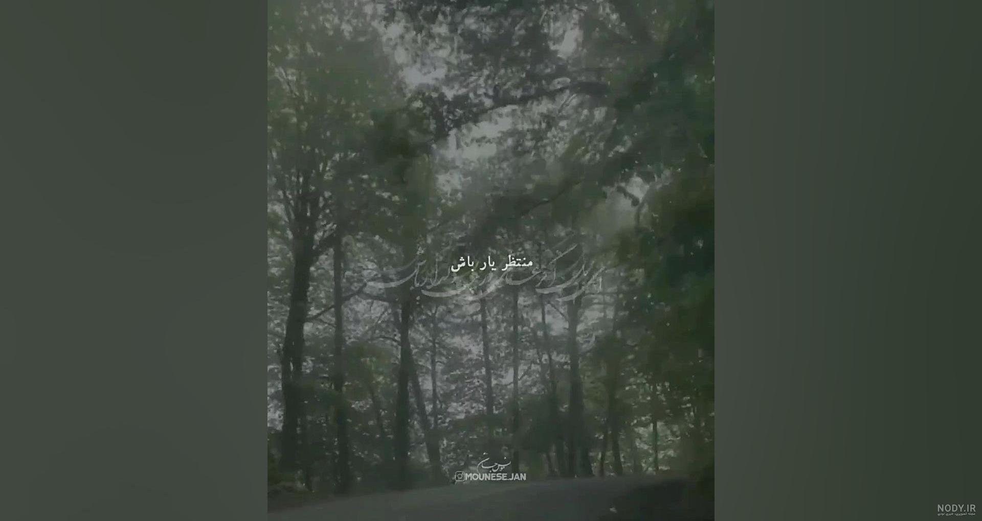 مجله باغ بالا | عطار