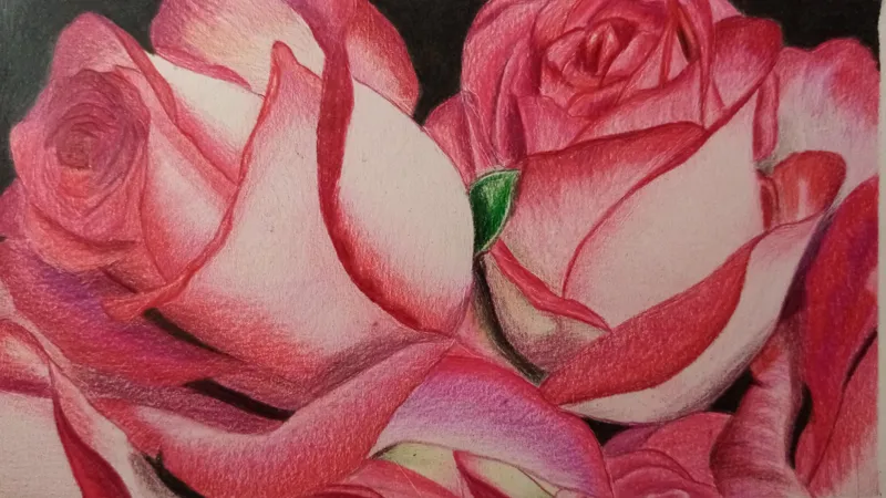 نقاشی با مداد رنگی از گل