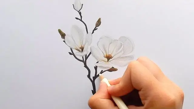 نقاشی با مداد رنگی گل