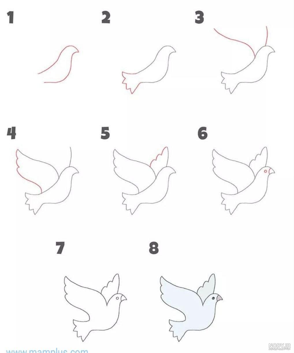 نقاشی پرنده آسان