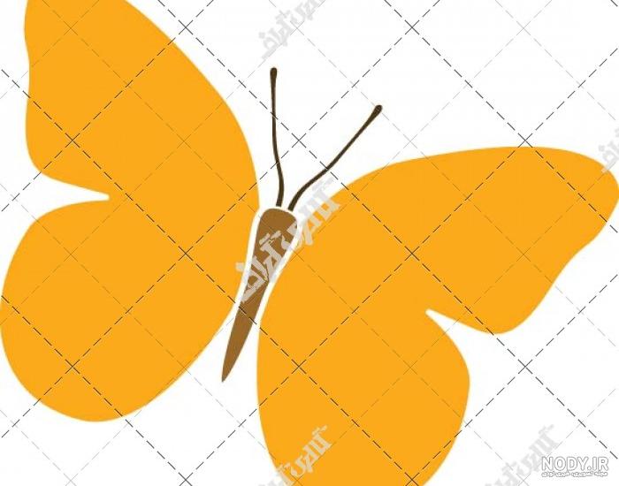 نقاشی پروانه بزرگسالان نقاشی پروانه بزرگسالان