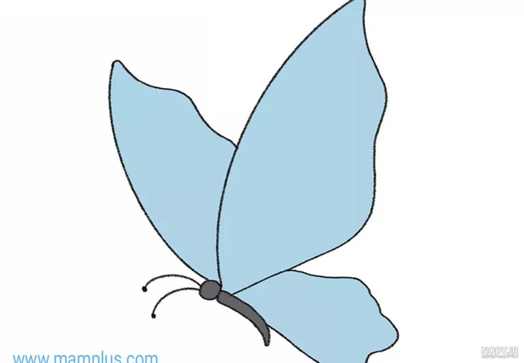 نقاشی پروانه قشنگ