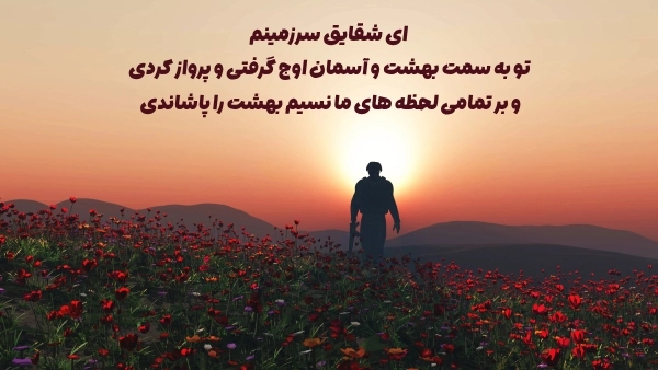 کجایید ای شهیدان خدایی : مولانا و سروش - محمدرضارفیع