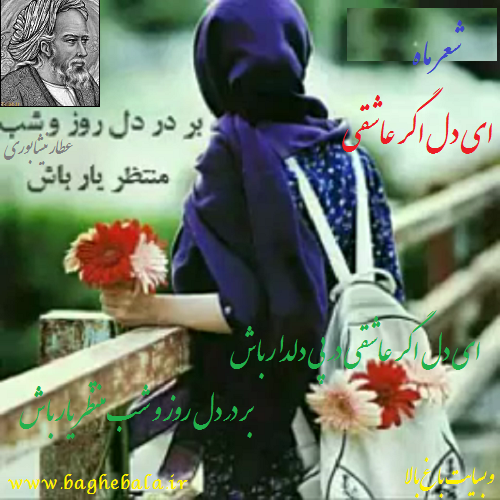 گنجینه فارسی » عطار نیشابوری » غزلیات » غزل شماره ۴۱۸: ای دل اگر عاشقی در پی  دلدار باش