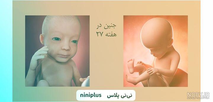 عکس جنین 2 ماهه پسر