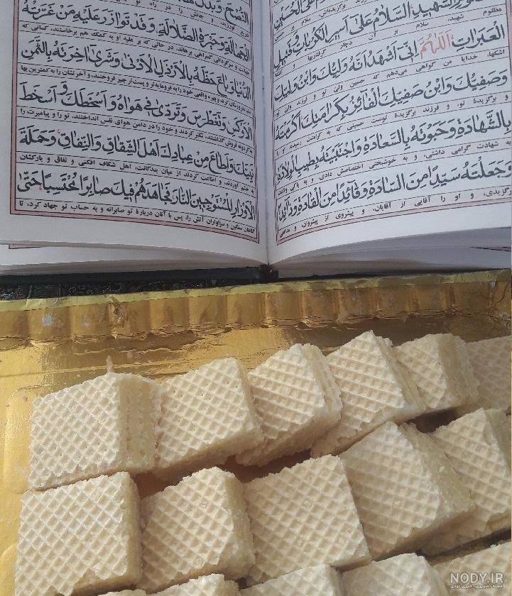 عکس فیک کتاب خواندن - عکس نودی