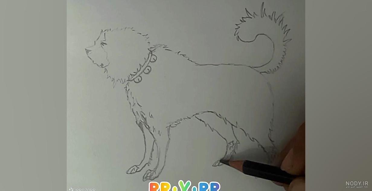 نقاشی سگ سرابی / نقاشی سگ نگهبان نقاشی سگ سرابی / نقاشی سگ نگهبان
