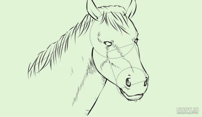 نقاشی صورت اسب برای نمایش