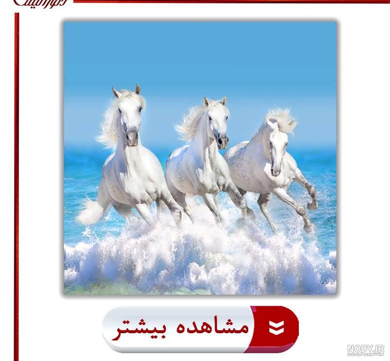 نقاشی صورت اسب - عکس نودی نقاشی صورت اسب - عکس نودی