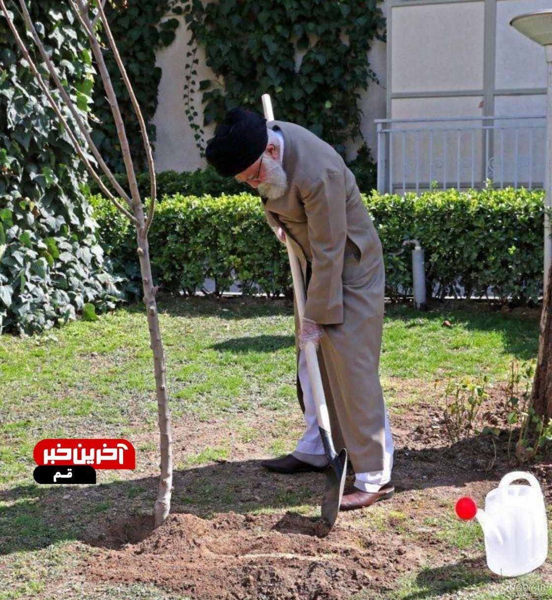 کاشت نهال توسط رهبر انقلاب در روز درختکاری + عکس