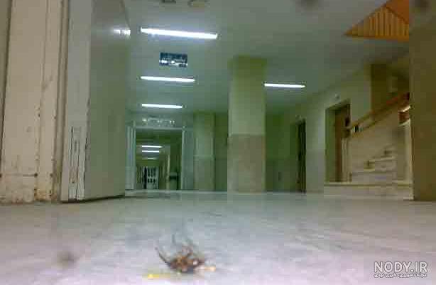 کسی از بیمارستان عکس داره | تبادل نظر نی نی سایت