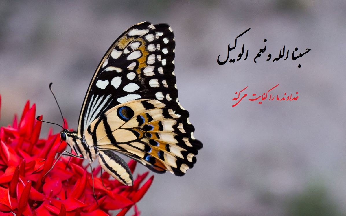اذکار سریع الاجابة و ادعیه شفابخش - پایگاه اطلاع رسانی هیات رزمندگان اسلام