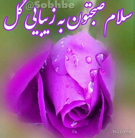 عکس نوشته صبح بخیر همراه با دعا