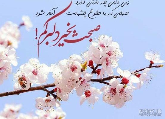 متن و شعر کوتاه و زیبا سلام صبح بخیر دوستان با عکس