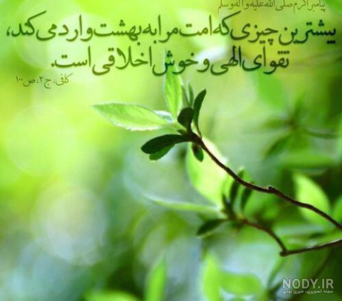 20 متن بسیار زیبا و تأثیرگذار در مورد ادب
