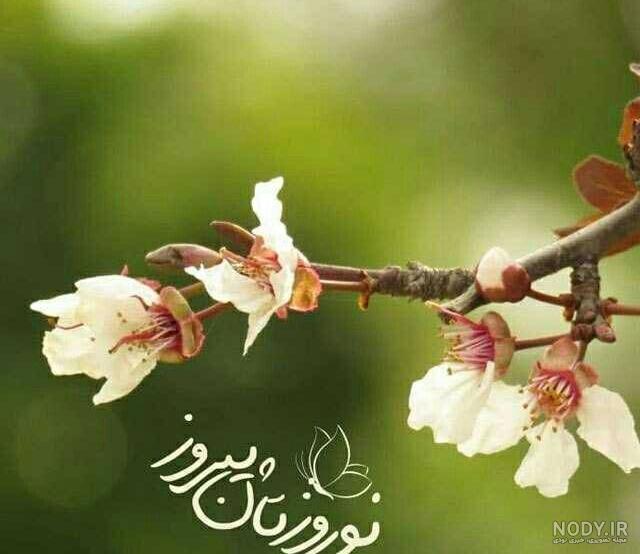 آخرین خبر | چهره ها/ تبریک سال عید «روزبه نعمت الله» آخرین خبر | چهره ها/ تبریک سال عید «روزبه نعمت الله»