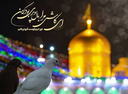 استوری امام رضایی | دلتنگتم | قسمت ۱۴