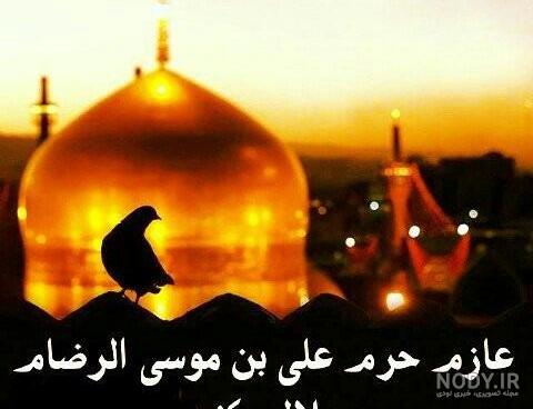 خادمان رضوی» نائب الزیاره شما در حرم مطهر امام رضا(ع) می‌شوند - خبرگزاری  حوزه