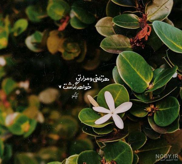 عکس نوشته های آموزنده و مفهومی (عکس نوشته پروفایل)